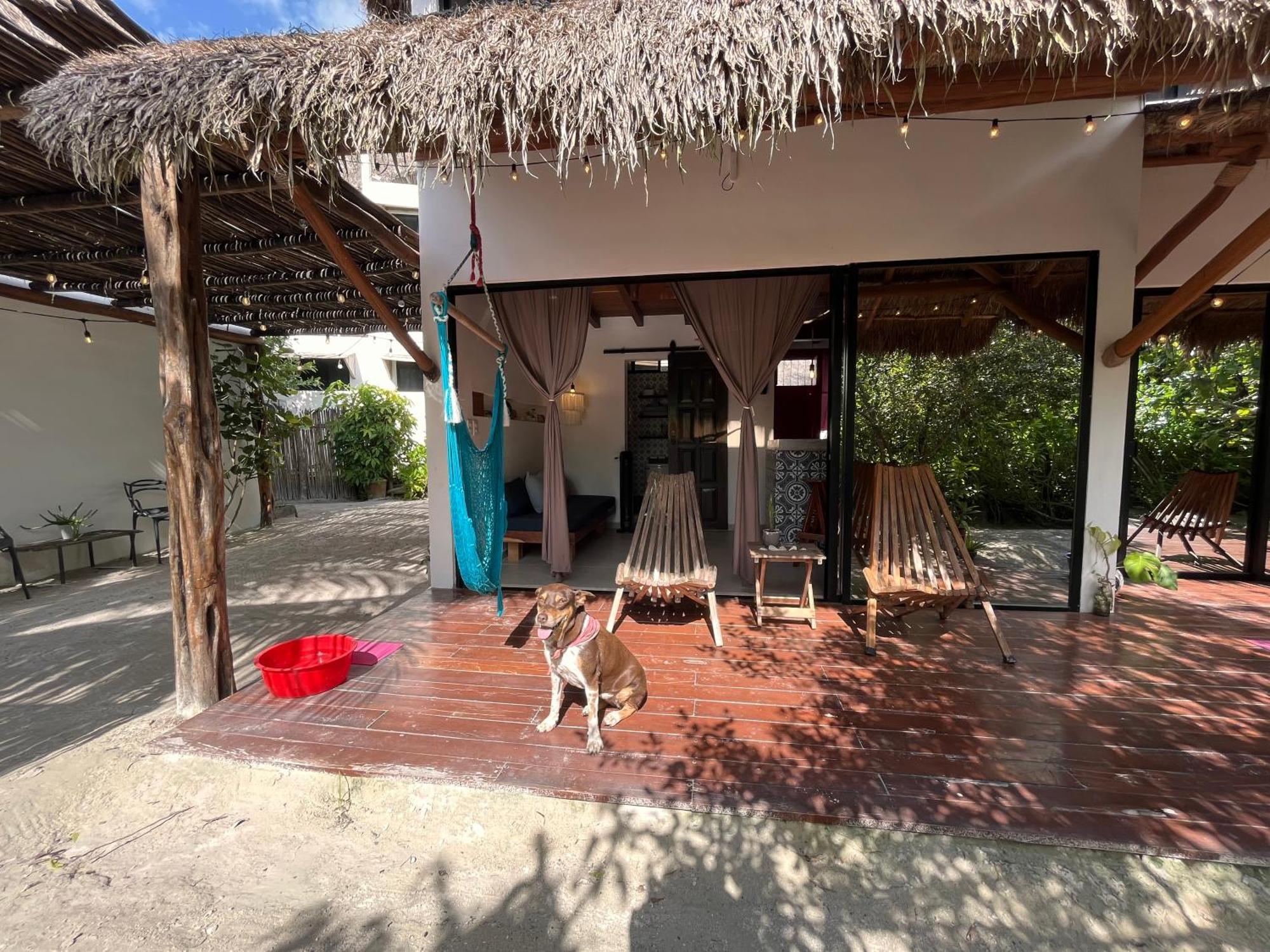 Ca Nikte Cabanas El Cuyo Exterior photo